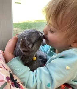 rhett and otto